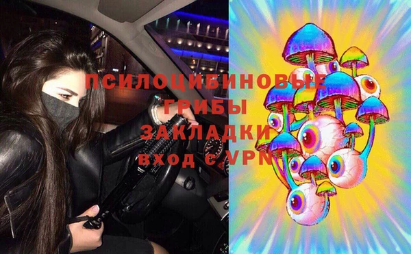 бошки Богородицк